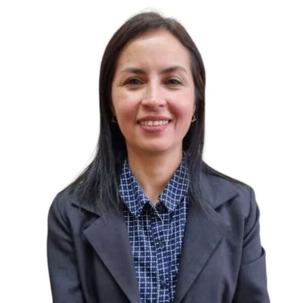 Intención de ANDE de adjudicar la LT 500 kV Yguazú - Valenzuela genera queja - Economía - ABC Color