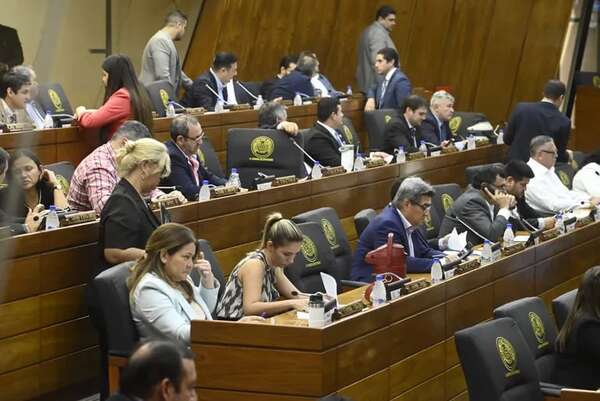 PGN 2024: Diputados acepta en parte cambios del Senado y se ratifica en el resto - Economía - ABC Color