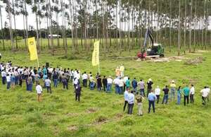 Jornada forestal reunió a los actores de diferentes sectores - Economía - ABC Color