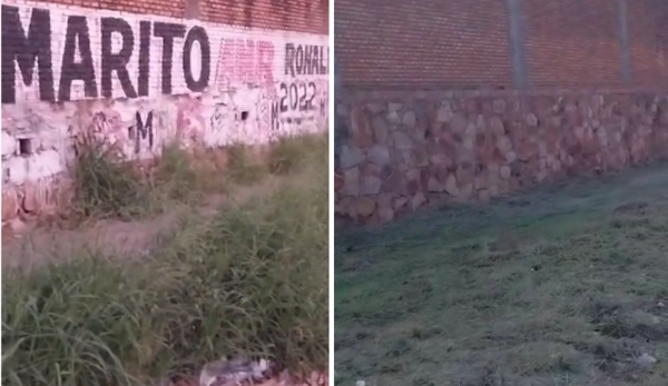 Diario HOY | Le llamaron puerco y el peor vecino: Marito limpia su vereda tras reclamos