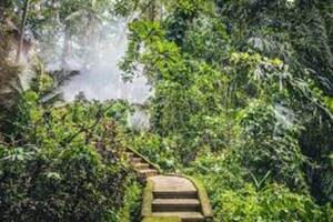 Honduras, naturaleza y corrupción - El Independiente