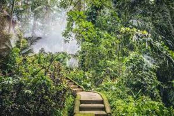 Honduras, naturaleza y corrupción - El Independiente