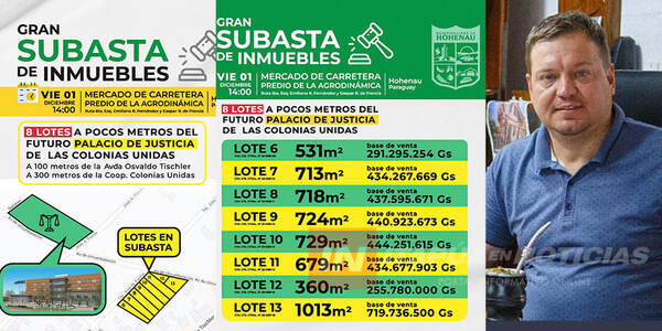 ESTE VIERNES SE REALIZARÁ GRAN SUBASTA DE INMUEBLES EN HOHENAU - Itapúa Noticias