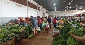 Lluvias persistentes afectan la producción de hortalizas en Alto Paraná - ADN Digital