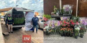 INCAUTARON UN VEHÍCULO CON PLANTAS Y ÁRBOLES EN EL CRUCE SANTA CLARA  - Itapúa Noticias