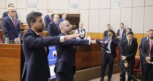 La Nación / Nuevos miembros del Consejo de la Magistratura juraron ante el Senado