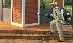 Advierten sobre proliferación del dengue en Coronel Oviedo