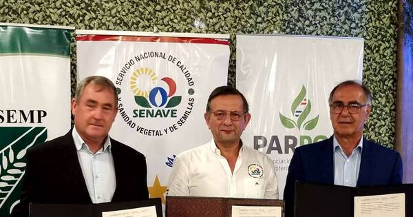 La Nación / Fortalecerán cooperación público-privada para producción y comercio de semillas