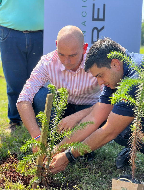 Estudiantes y representantes del EBY reforestaron Costanera de Encarnación con "Pinos Paraná" - trece