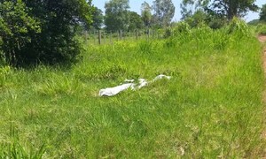 Doble homicidio conmociona a la comunidad de ex Puentesiño – Prensa 5