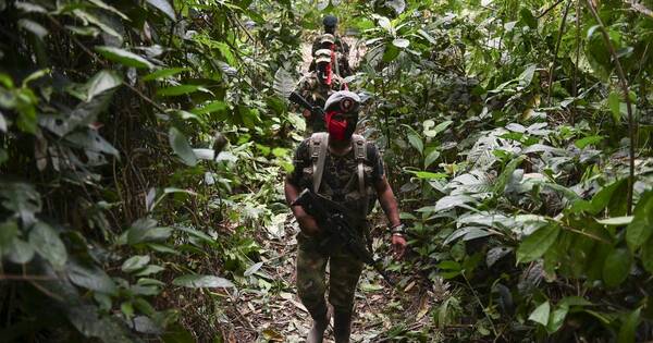 La Nación / ELN y EMC de las FARC usan alto el fuego para delinquir, denuncia Ejército de Colombia