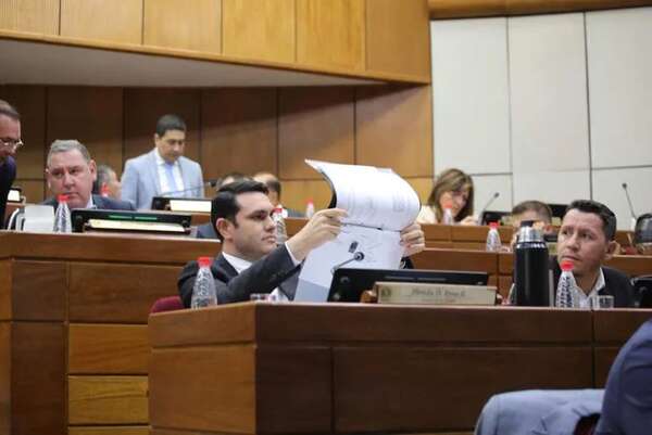 Senadores crean comisión para “diagnosticar” las facultades de garaje - Política - ABC Color
