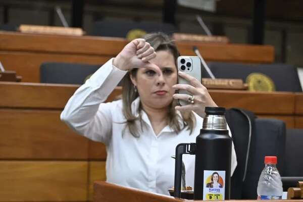 Control a ONG: hay mucho que objetar en el proyecto de ley, según Kattya González - Política - ABC Color