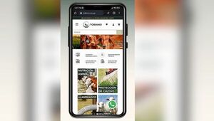 Tobiano: la tienda web del campo que busca simplificar la vida al productor agropecuario