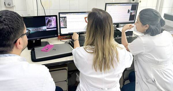 La Nación / IPS posee único servicio de internación neurológica