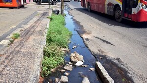 Baches y aguas servidas pululan en transitadas avenidas de la capital
