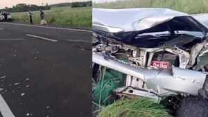Conductor sobrevive milagrosamente después de chocar con una manada de vacas