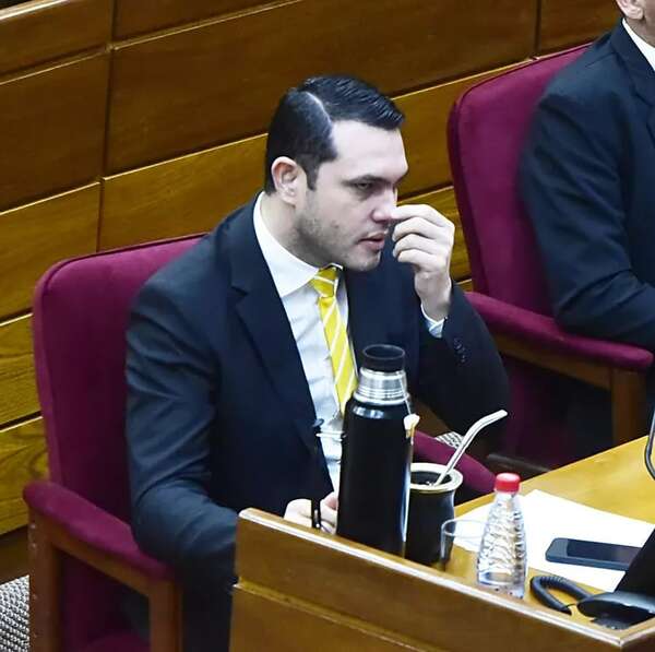 Petta ignoró groseras irregularidades en el registro del título de Hernán Rivas - Nacionales - ABC Color