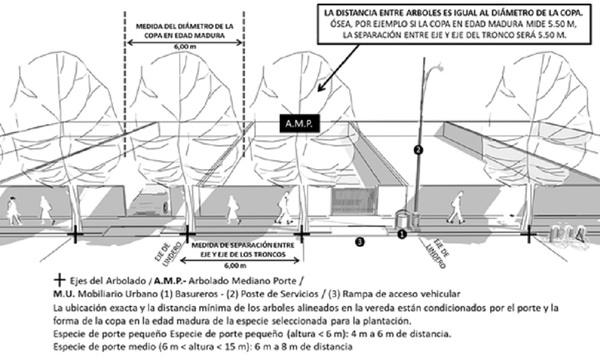 Aprueban proyecto para reglamentar plantación de árboles en veredas de Coronel Oviedo
