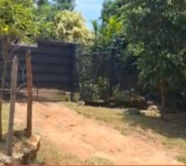 Apuñalan a joven y roban fondos de colación - Paraguay.com