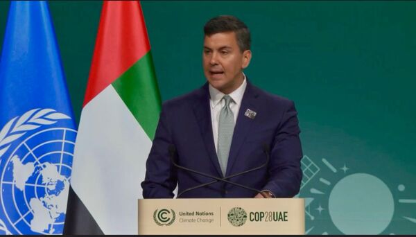 COP28: Paraguay has enormous environmental awareness and wants to be an example in this field - .::Agencia IP::.