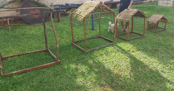 La Nación / Viral: fabrica casitas de pesebre para solventar gastos médicos