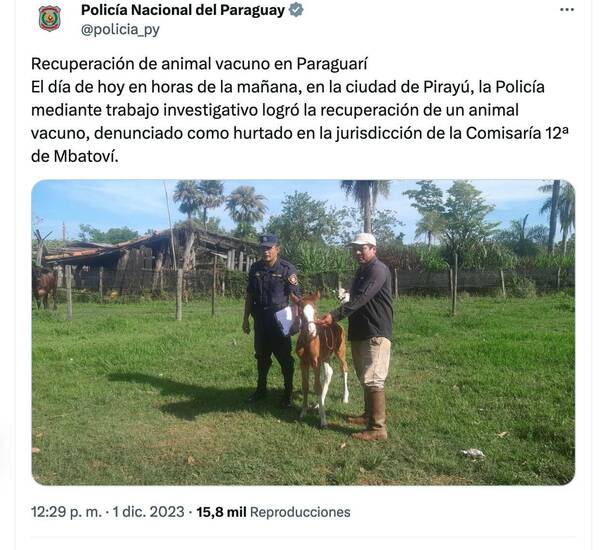 El “animal vacuno” que recuperó la Policía Nacional e hizo explotar las redes
