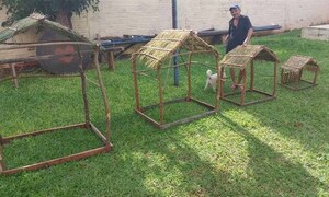 Fabrica casitas de pesebre para solventar gastos médicos – Prensa 5