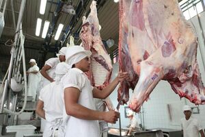 Exportación de carne bovina asciende a cerca de 300.000 toneladas en lo que va del año - .::Agencia IP::.