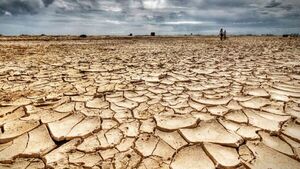 Un tercio de las personas aún duda sobre la crisis climática, según un estudio científico