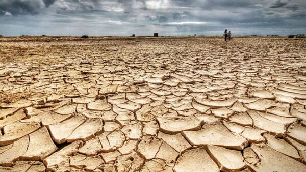Un tercio de las personas aún duda sobre la crisis climática, según un estudio científico