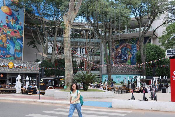 Inversiones en el mercado inmobiliario de Asunci贸n experimentan un fuerte crecimiento - Revista PLUS
