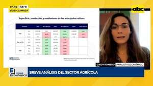 Video: breve análisis del sector agrícola - Factor Clave - ABC Color