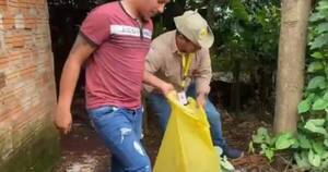 La Nación / Encaran acciones contra el aedes