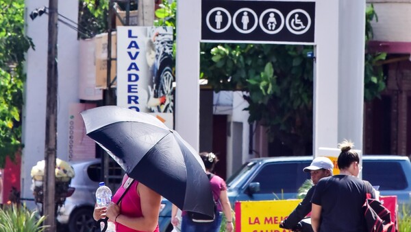Calor y más lluvias potencian al dengue