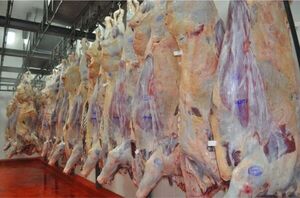 Paraguay exportó 300.000 toneladas de carne bovina en lo que va del año - Informatepy.com