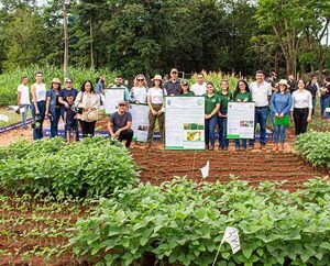 Estudiantes de Agronomía de la UPE presentan nuevas variedades de mandioca y poroto en trabajo de campo | DIARIO PRIMERA PLANA