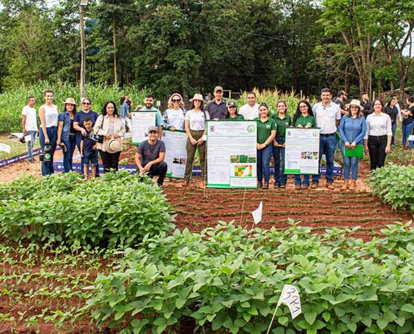 Estudiantes de Agronomía de la UPE presentan nuevas variedades de mandioca y poroto en trabajo de campo | DIARIO PRIMERA PLANA