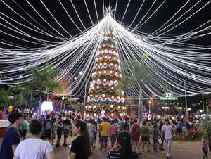 Unos 50.000 foquitos led ya iluminan los adornos navideños elaborados con botellas de plástico - ADN Digital