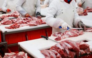 Exportación de carne bovina alcanza casi 300.000 toneladas, según Senacsa