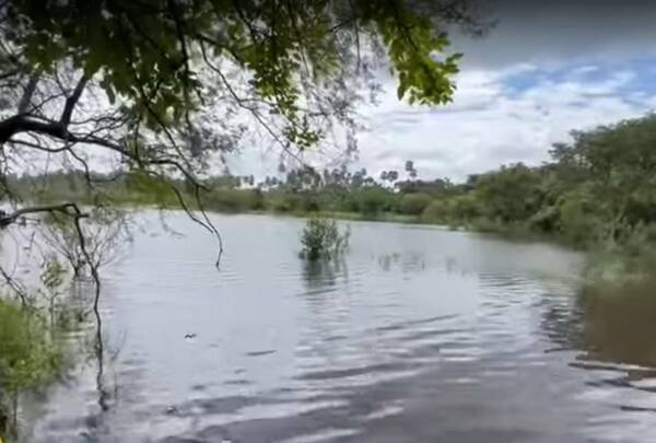Fueron a pasear en lancha y se encontraron con la ¡llorona del río!