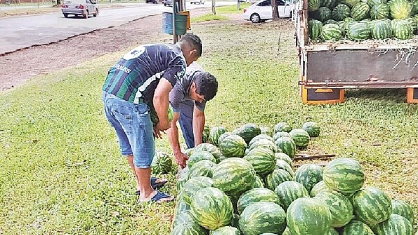 Agricultor produce y vende sandías en Colonias Unidas