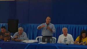 PLRA mantendrá línea de oposición al gobierno, dice presidente liberal - Nacionales - ABC Color
