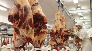 Diario HOY | Carne bovina: exportación asciende a casi 300.000 toneladas en lo que va del año