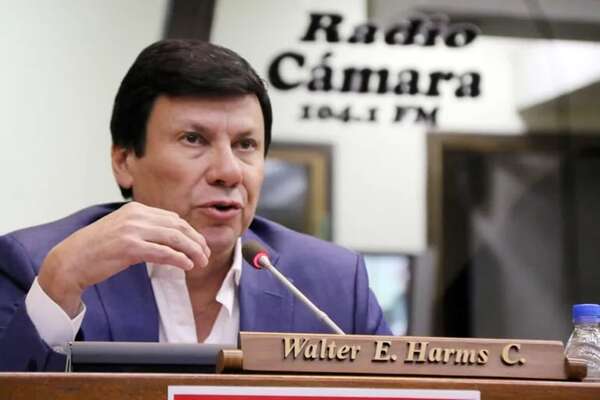 Diputado Walter Harms murió tras caída de avioneta en San Pedro - Policiales - ABC Color