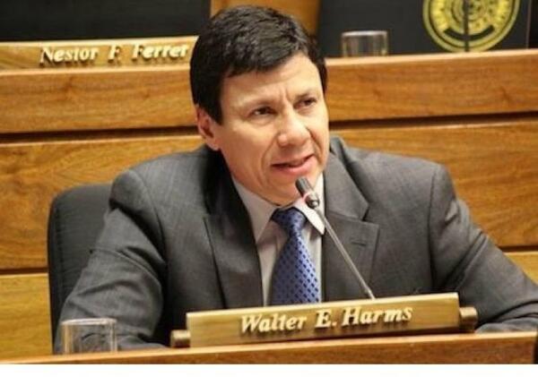 Diario HOY | Falleció el diputado Walter Harms en accidente aéreo