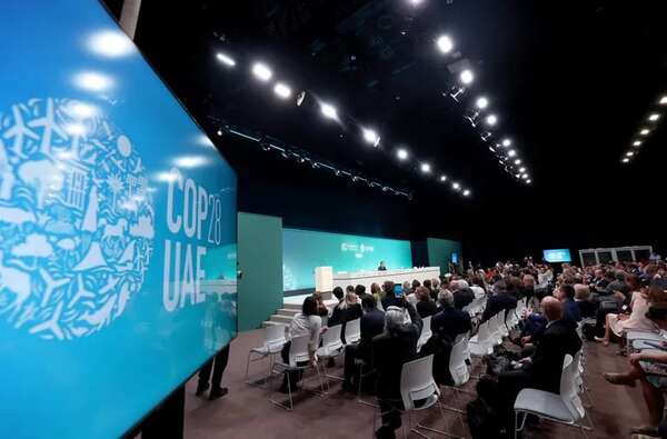 Científicos advierten: No podemos depender excesivamente de los sumideros naturales de CO2 - Ciencia - ABC Color