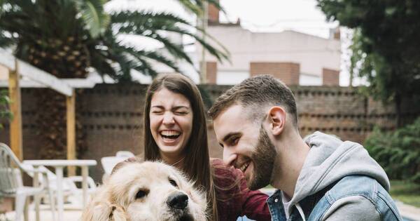 La Nación / Novio con personalidad de “golden retriever”: todo lo que debés saber