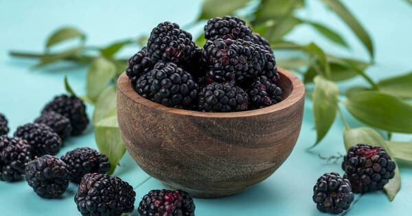 La Nación / Conocé la fruta que aumenta el deseo sexual y combate el envejecimiento