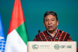 El vicepresidente de Bolivia participará en el lanzamiento del Año Internacional de los Camélidos - MarketData